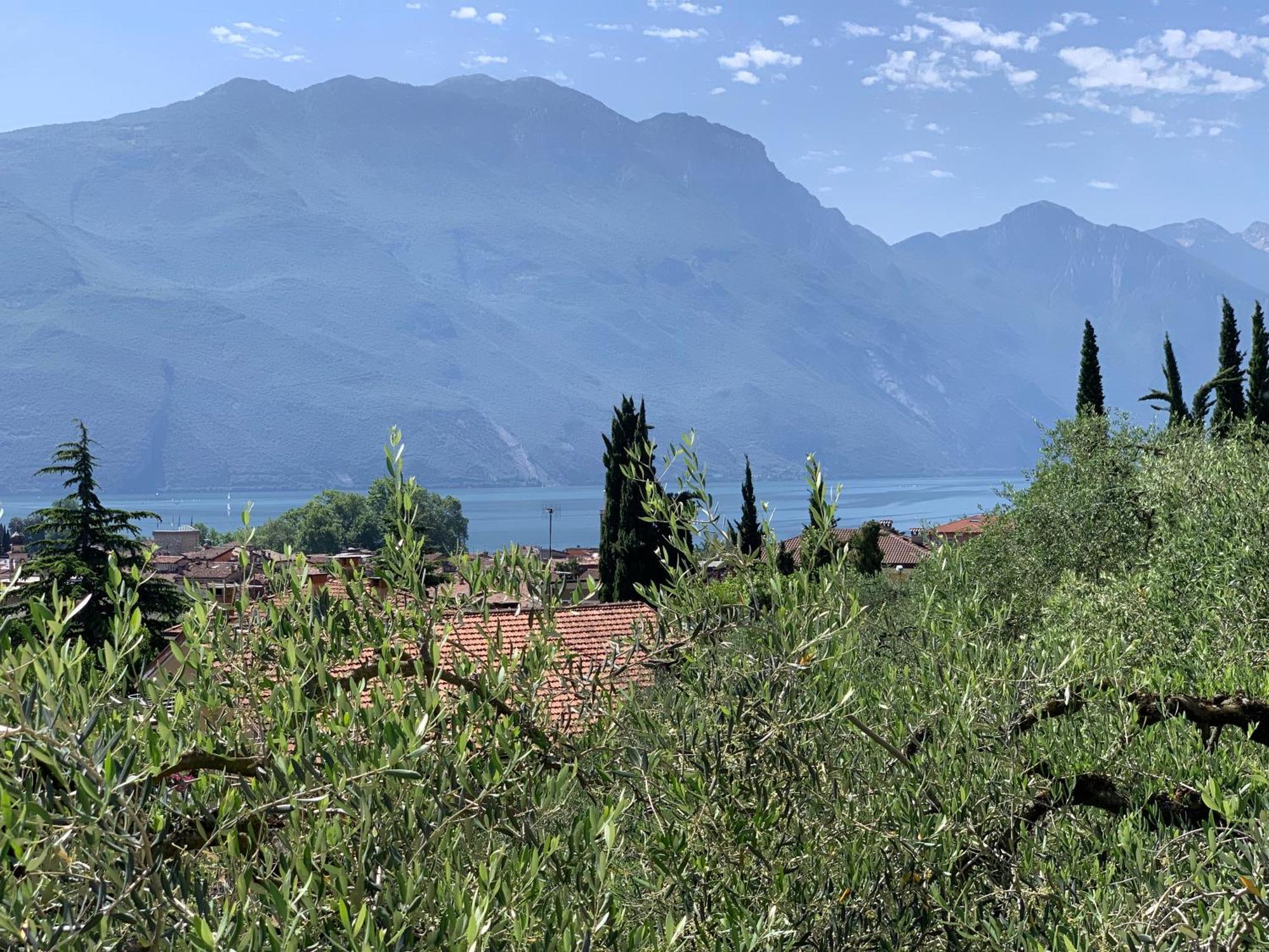 Aparthotel Englovacanze Riva del Garda Bagian luar foto